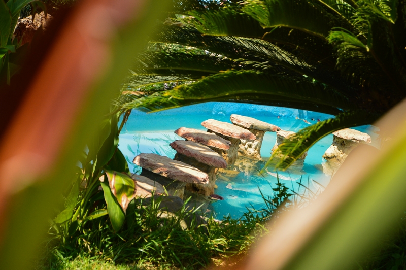 Pool Party at Janna Sur Mer
